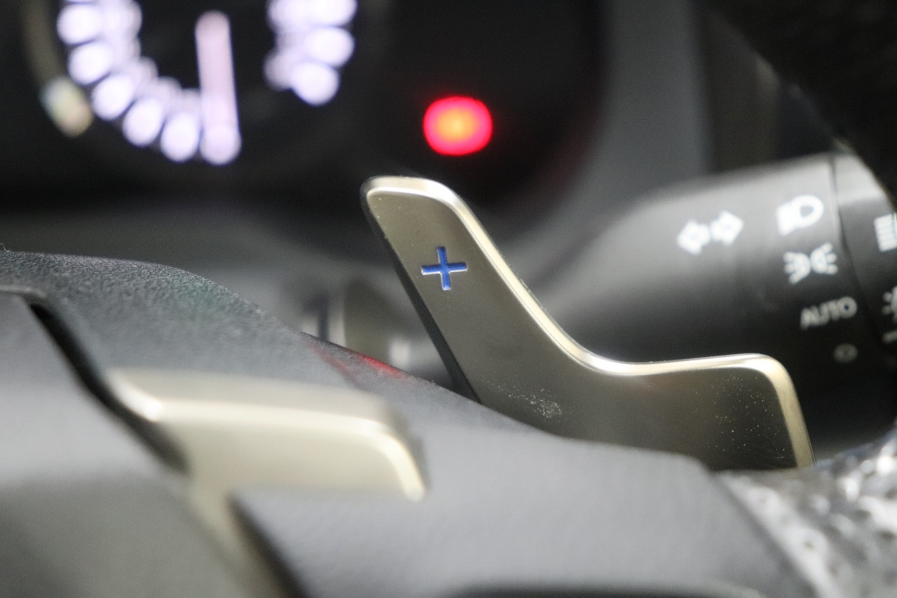 H28 RC F 5.0 6.8万km オプションオレンジキャリパー TVD 赤革シート